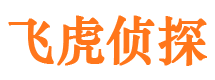 罗定市侦探调查公司